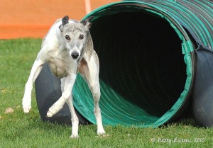 Wyatt in a tunnel